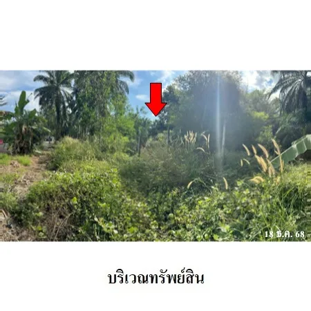 ที่ดินเปล่า เหนือคลอง กระบี่ 1-2-63ไร่ - 7