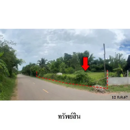 ที่ดินเปล่า ศรีบุญเรือง หนองบัวลำพู 0-3-20ไร่ - 5