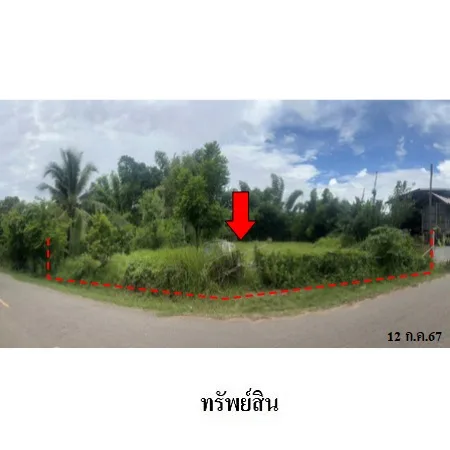 ที่ดินเปล่า ศรีบุญเรือง หนองบัวลำพู 0-3-20ไร่ - 6