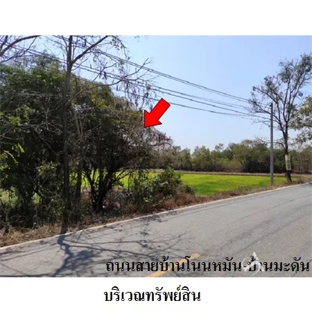 ที่ดินเปล่า เฉลิมพระเกียรติ นครราชสีมา 1-1-37ไร่ - 3