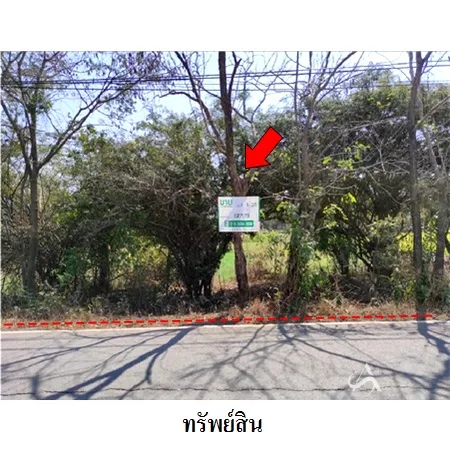 ที่ดินเปล่า เฉลิมพระเกียรติ นครราชสีมา 1-1-37ไร่ - 4