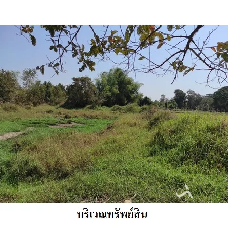 ที่ดินเปล่า เฉลิมพระเกียรติ นครราชสีมา 1-1-37ไร่ - 6