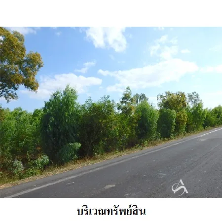 ที่ดินเปล่า ชุมพลบุรี สุรินทร์ 2-0-28ไร่ - 5