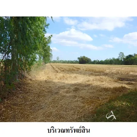 ที่ดินเปล่า ชุมพลบุรี สุรินทร์ 2-0-28ไร่ - 6