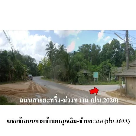 ที่ดินเปล่า ยะหริ่ง ปัตตานี 0-2-53ไร่ - 2