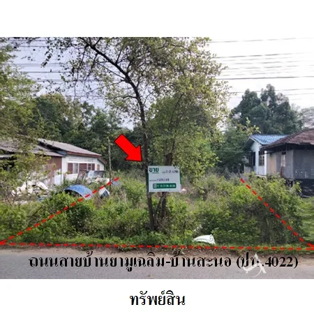 ที่ดินเปล่า ยะหริ่ง ปัตตานี 0-2-53ไร่ - 4