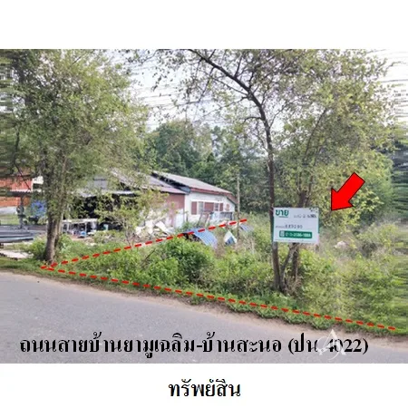 ที่ดินเปล่า ยะหริ่ง ปัตตานี 0-2-53ไร่ - 5