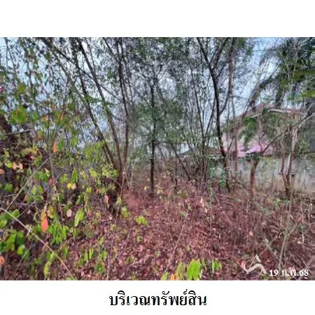 ที่ดินเปล่า เมือง พิษณุโลก 0-0-50ไร่ - 11
