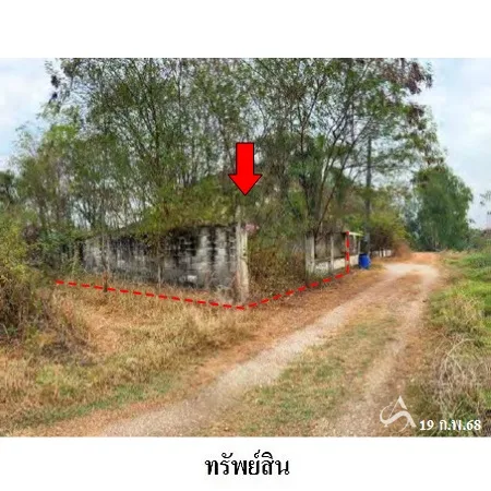 ที่ดินเปล่า เมือง พิษณุโลก 0-0-50ไร่ - 8