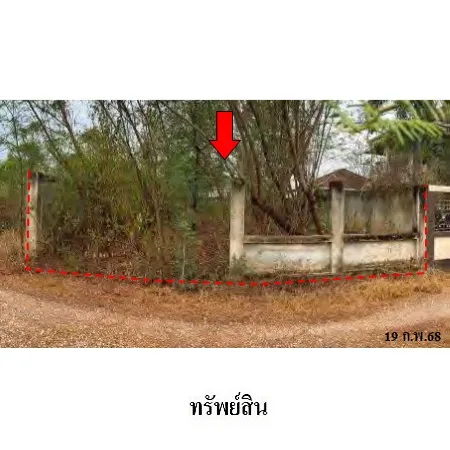 ที่ดินเปล่า เมือง พิษณุโลก 0-0-50ไร่ - 9
