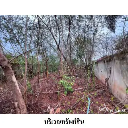ที่ดินเปล่า เมือง พิษณุโลก 0-0-50ไร่ - 10