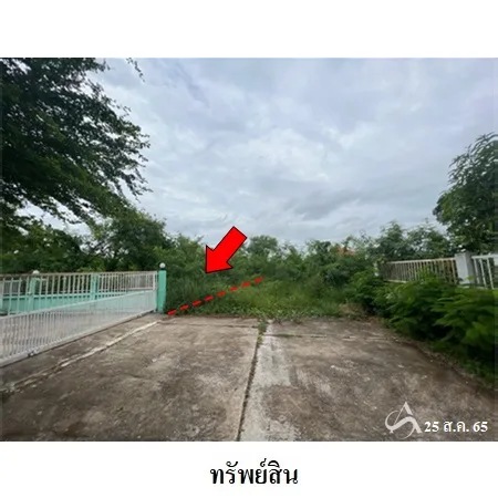 ที่ดินเปล่า เมือง พิจิตร 0-0-65ไร่ - 3