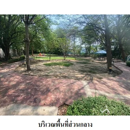 คอนโด เดอะ วอเตอร์ฟอร์ด สุขุมวิท 50/3 คลองเตย กรุงเทพฯ - 6