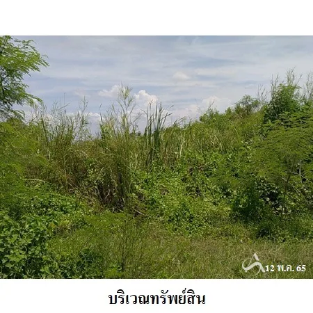 ที่ดินเปล่า นครชัยศรี นครปฐม 18-3-76ไร่ - 6