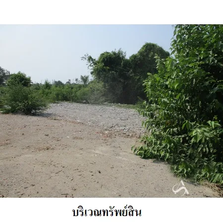 ที่ดินเปล่า ไทรน้อย นนทบุรี 12-2-38ไร่