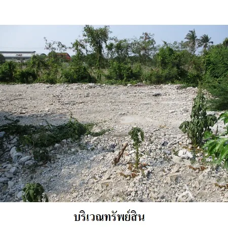 ที่ดินเปล่า ไทรน้อย นนทบุรี 12-2-38ไร่ - 2