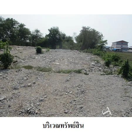ที่ดินเปล่า ไทรน้อย นนทบุรี 12-2-38ไร่ - 3