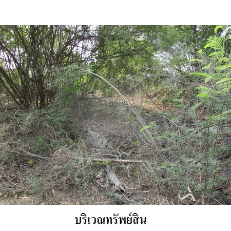 ที่ดินเปล่า ไทรน้อย นนทบุรี 12-2-38ไร่ - 4