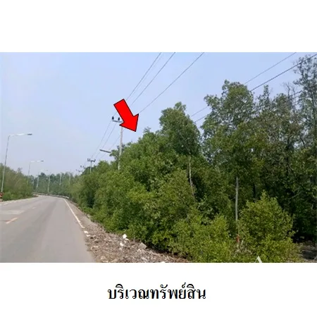 ที่ดินเปล่า เมือง สมุทรสงคราม 18-1-35.3ไร่ - 3