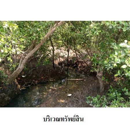 ที่ดินเปล่า เมือง สมุทรสงคราม 18-1-35.3ไร่ - 5
