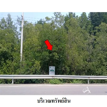 ที่ดินเปล่า เมือง สมุทรสงคราม 18-1-35.3ไร่ - 6