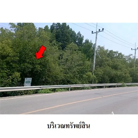 ที่ดินเปล่า เมือง สมุทรสงคราม 18-1-35.3ไร่ - 7