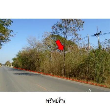 ที่ดินเปล่า พัฒนานิคม ลพบุรี 25-0-44.4ไร่