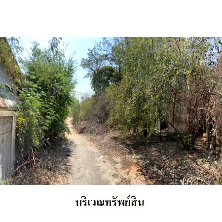 ที่ดินเปล่า พัฒนานิคม ลพบุรี 25-0-44.4ไร่ - 6