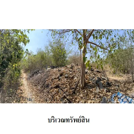 ที่ดินเปล่า พัฒนานิคม ลพบุรี 25-0-44.4ไร่ - 7