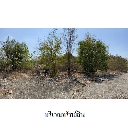 ที่ดินเปล่า พัฒนานิคม ลพบุรี 25-0-44.4ไร่ - 10