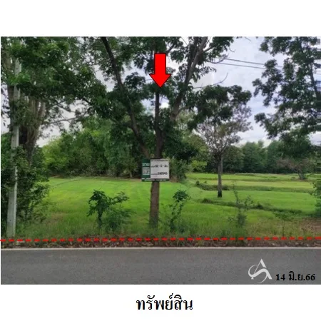 ที่ดินเปล่า โนนสูง นครราชสีมา 12-0-2ไร่ - 2