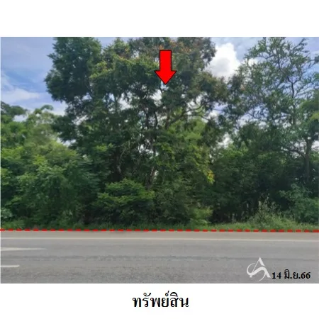 ที่ดินเปล่า โนนสูง นครราชสีมา 12-0-2ไร่ - 4