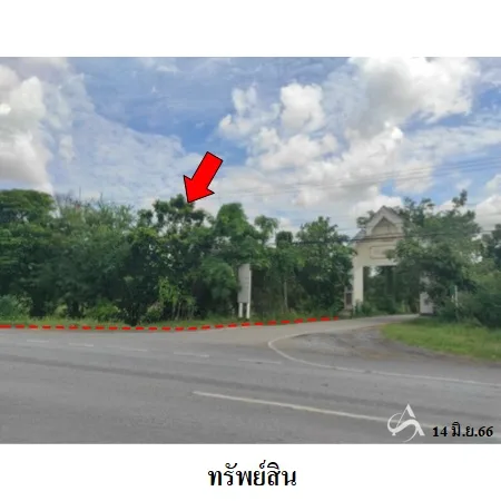 ที่ดินเปล่า โนนสูง นครราชสีมา 12-0-2ไร่ - 5
