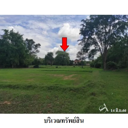 ที่ดินเปล่า โนนสูง นครราชสีมา 12-0-2ไร่ - 6