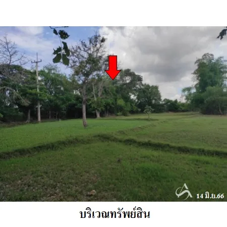 ที่ดินเปล่า โนนสูง นครราชสีมา 12-0-2ไร่ - 7