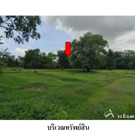 ที่ดินเปล่า โนนสูง นครราชสีมา 12-0-2ไร่ - 8