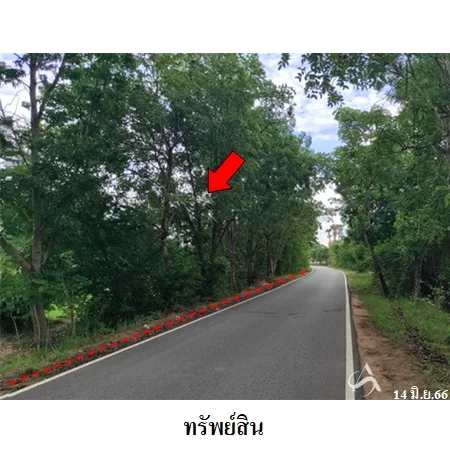 ที่ดินเปล่า โนนสูง นครราชสีมา 12-0-2ไร่ - 10
