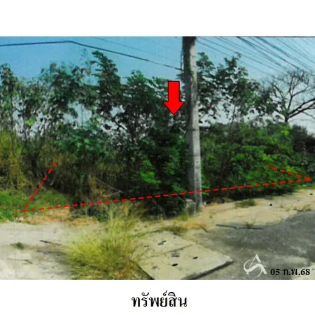 ที่ดินเปล่า ชัยบาดาล ลพบุรี 14-0-78ไร่ - 5