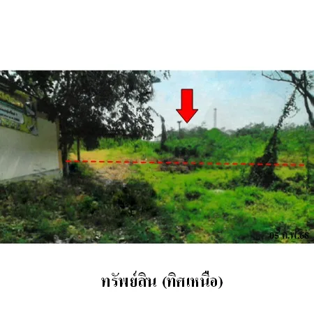 ที่ดินเปล่า ชัยบาดาล ลพบุรี 14-0-78ไร่ - 6