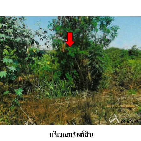 ที่ดินเปล่า ชัยบาดาล ลพบุรี 14-0-78ไร่ - 7