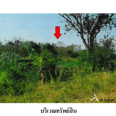 ที่ดินเปล่า ชัยบาดาล ลพบุรี 14-0-78ไร่ - 9