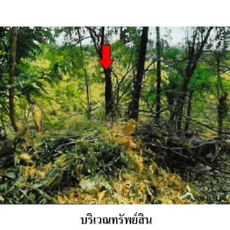 ที่ดินเปล่า ชัยบาดาล ลพบุรี 14-0-78ไร่ - 10