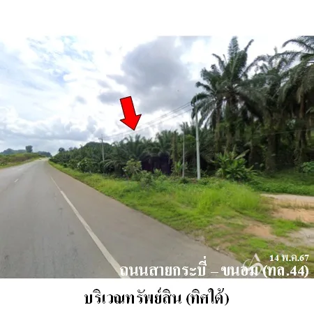ที่ดินเปล่า พระแสง สุราษฏร์ธานี 20-3-0ไร่