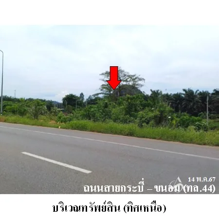 ที่ดินเปล่า พระแสง สุราษฏร์ธานี 20-3-0ไร่ - 3