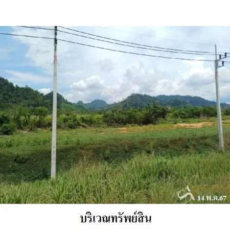ที่ดินเปล่า พระแสง สุราษฏร์ธานี 20-3-0ไร่ - 5