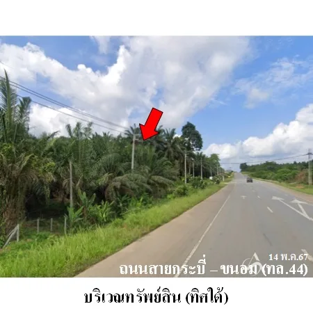 ที่ดินเปล่า พระแสง สุราษฏร์ธานี 20-3-0ไร่ - 7