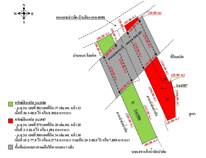 ที่ดินเปล่า พระแสง สุราษฏร์ธานี 20-3-0ไร่ - 8
