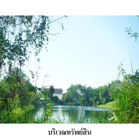 ที่ดินเปล่า บางพลี สมุทรปราการ 4-2-34ไร่ - 3