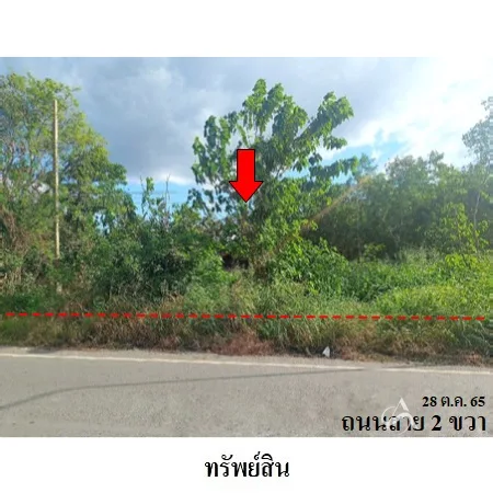 ที่ดินเปล่า พัฒนานิคม ลพบุรี 24-1-78.6ไร่ - 3