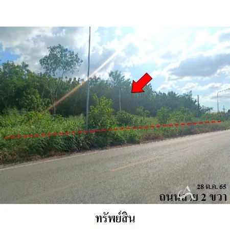 ที่ดินเปล่า พัฒนานิคม ลพบุรี 24-1-78.6ไร่